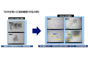 NECファシリティーズ、半導体の分析技術を活用した食品開発支援サービス