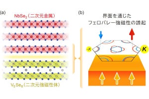 東大など、非磁性と強磁性の二次元金属積層で「フェロバレー強磁性」の誘起に成功