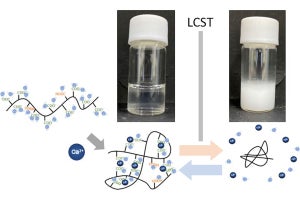 大阪公大、イオンの種類によって反応温度を制御できる高分子を開発