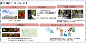 1週間先のトマトの収量をAIで予測する実証実験、近鉄不動産×NTT