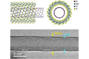 都立大など、無機ナノチューブの汎用的かつ簡便な単層合成法を開発