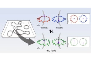 東大など、「トポロジカル欠陥」の動きを3次元で観察することに成功