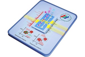 NAIST、大腸菌などの薬剤耐性などを高精度かつ高速に調査する装置を開発