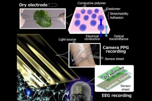 阪大、伸縮性と透明性と皮膚への優れた導電性を示す生体ドライ電極を開発