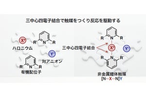 分子研、無機物のハロゲンと有機物配位子を組み合わせた非金属錯体触媒を開発