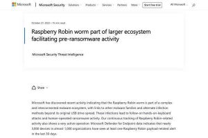 「Raspberry Robin」ワームがほかのマルウェアとして活動、要注意