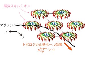 東大、磁気スキルミオンによる「トポロジカル熱ホール効果」を観測