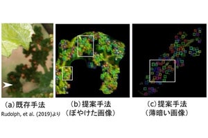 ブドウ農園でも活躍！？　高品質なワイン作りに貢献するAIとは