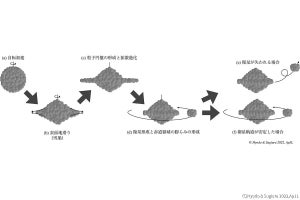 JAXA、小型のラブルパイル小惑星にコマ型をしたものが多い理由を解明