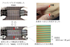 NIMS、気体を流入させるとその性質に応じて構造色を発するデバイスを開発