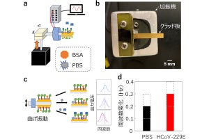 東北大など、振動発電を活用した風邪コロナウイルスセンサの開発に成功