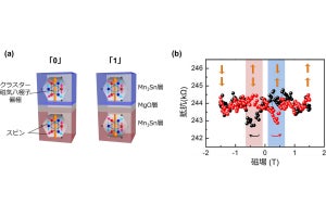 東大など、室温で反強磁性体の「量子トンネル磁気抵抗効果」を確認