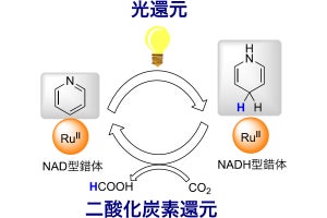 立命館大など、再生可能なルテニウム錯体によるCO2光還元反応に成功