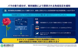 バラの香り成分は免疫細胞による炎症反応の抑制に作用する　理科大が発見