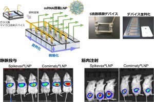 北大、核酸搭載脂質ナノ粒子の大量製造を実現する流体デバイスを開発