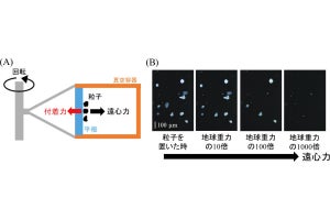 小惑星由来の隕石破片の付着力は大きさに依存しない　神戸大などが解明