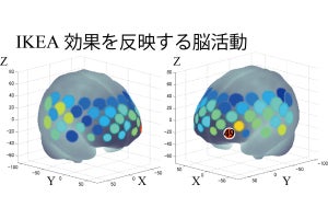 中央大、コト消費における「IKEA効果」の脳機能を可視化することに成功