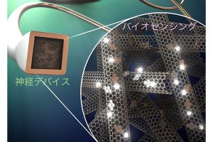 東北大、CNTとアプタマーによる脳内用電気化学センシングツールを開発