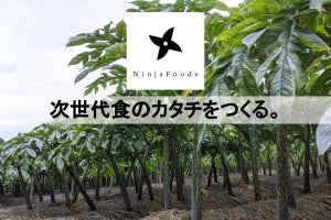 Sydecasと龍谷大学、蒟蒻由来食材「NinjaPaste」に関する共同研究を開始