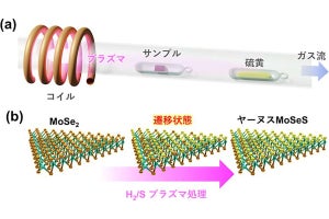 岡山大、二面性を持つTMDCのヤーヌス構造の生成とその過程の解析に成功