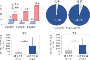 中学生の鉄分不足を尿検査で簡便に発見できる可能性　ファンケルが発表