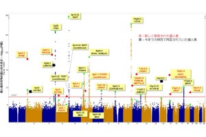 国がんなど、アジア人の肺腺がんリスクを決める28個の遺伝子多型を同定