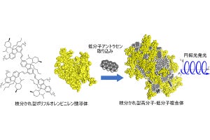 北大、枝分かれ型高分子におけるキラリティトランスファー現象を発見