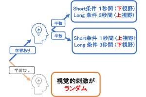 千葉大、ヒトは時間の長さの知覚で直前とは逆に判断する傾向があるのを確認