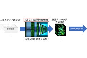 理研、タンパク質の立体構造推論AI「OpenFold」の富岳実装版を提供開始