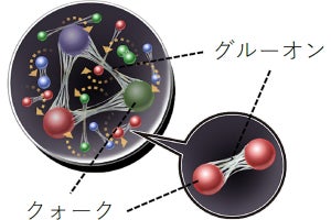 理研、グルーオン・スピンの方向は陽子スピンと同じであることを確認