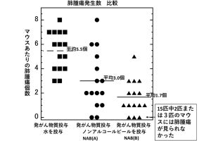 ノンアルコールビールにタバコ起因の肺がん抑制効果、岡山大がマウスで確認