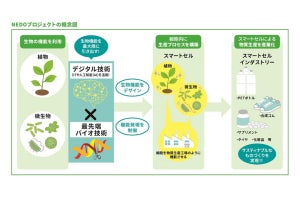 旭化成ファーマ、高性能細胞で医療品原料の生産性の改善に成功