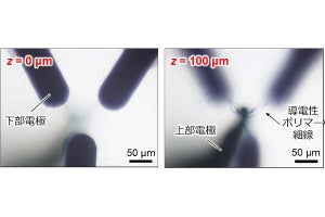 阪大など、導電性ポリマーで脳型コンピュータを実現できることを証明