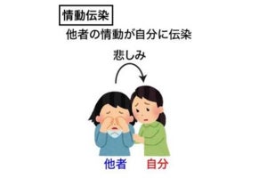 東大、他者と自分の感情の情報を併せ持つ共感に関与する脳神経細胞を発見