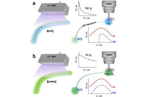 高知工科大、「弾性分子結晶」の光輸送機能を15倍に向上させる手法を開発