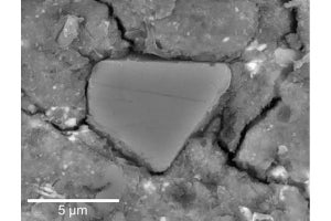 茨城大など、リュウグウの酸素濃度や存在するガス分子種の変遷を解明