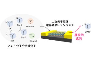 東大、溶媒として重要な毒性分子を選択的に検出可能なセンサを開発