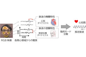 理科大、環境光の変動下の顔映像だけで非接触に心拍数を推定する手法を開発