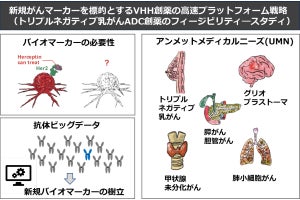 阪大など3者、バイオマーカー未発見の特殊な乳がんの抗がん剤開発を開始