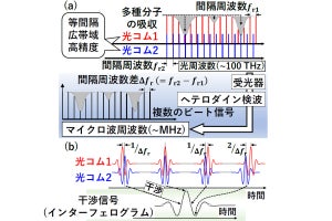 東邦大など、全ファイバ型の機構共有型デュアルコムファイバレーザーを開発