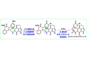 東北大、有効な合成法がなかった「ディスコハブディンB」の合成に成功