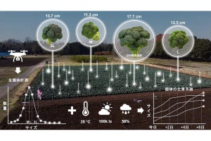 東大、ドローン空撮とAIを用いて規格外野菜を減らすためのシステムを開発