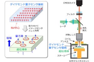 東大、ダイヤモンド量子センサを用いて「量子渦」を広視野で可視化に成功