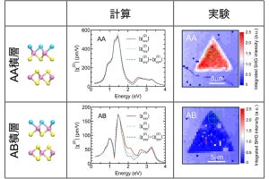 東北大、ヤヌス型は通常のTMDよりも第2高調波が3倍以上増強することを確認