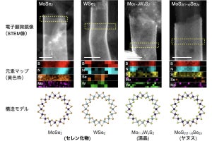 都立大など、単層の遷移金属ダイカルコゲナイド製ナノチューブの合成に成功