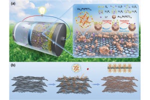 理科大、金属ナノクラスターでリチウム硫黄電池の性能の向上を実現