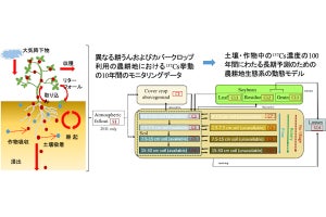 茨城大、作物中の放射性セシウム濃度の100年間の長期予測を実施