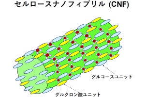 東北大、CNFを用いて使用温度150℃までの耐水性のあるバイオ蓄電体を開発