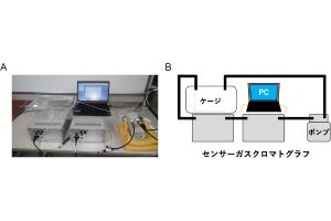 慶大など、腸炎と生体水素ガス濃度や特定の腸内細菌の関連をマウスで確認