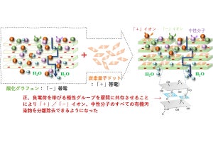 産総研、グラフェンと炭素量子ドットを組み合わせた汚染物質除去膜を開発